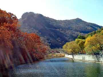 新澳天天开奖资料大全旅游团，搜